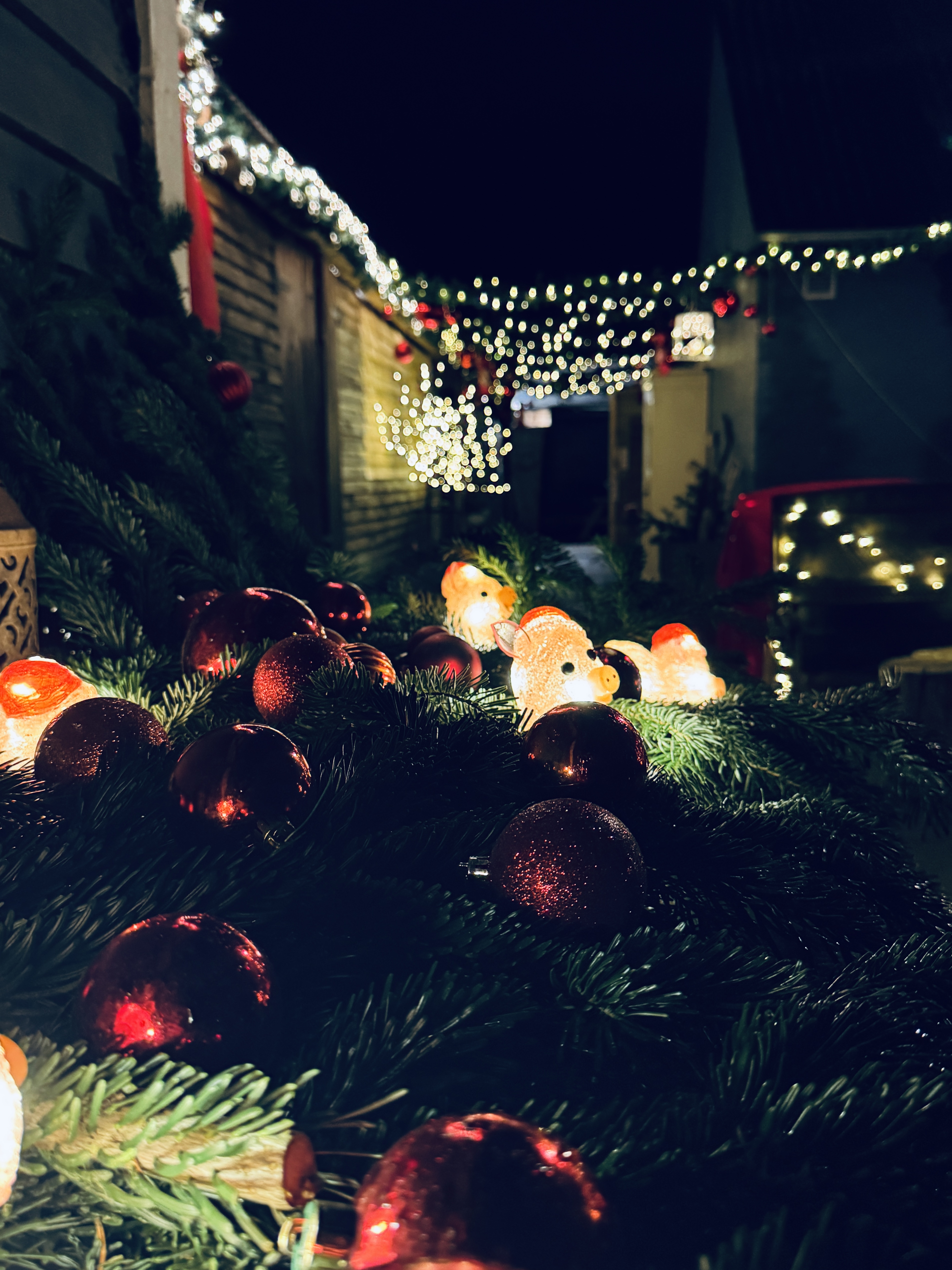 Aftenåbent d. 5/12-25